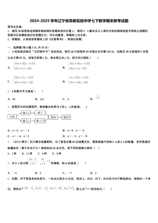 2024-2025学年辽宁省阜新实验中学七下数学期末联考试题含解析