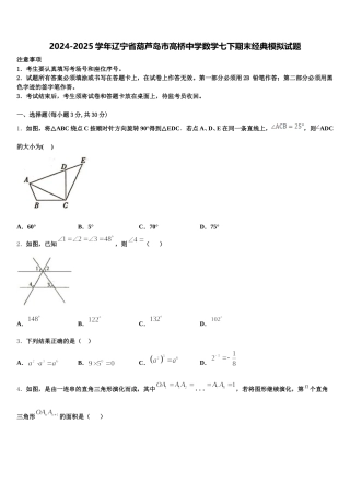 2024-2025学年辽宁省葫芦岛市高桥中学数学七下期末经典模拟试题含解析