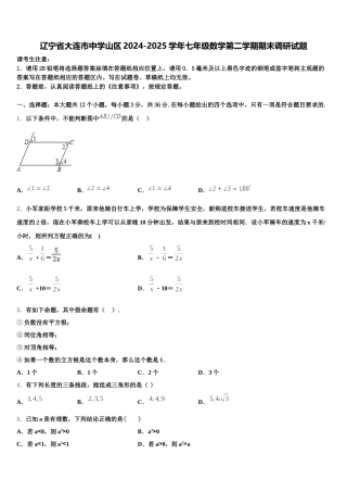 辽宁省大连市中学山区2024-2025学年七年级数学第二学期期末调研试题含解析