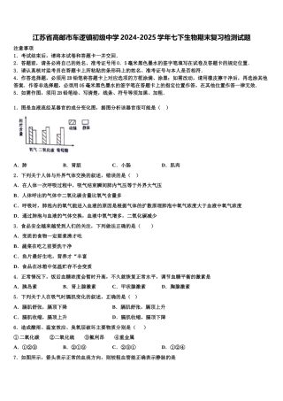 江苏省高邮市车逻镇初级中学2024-2025学年七下生物期末复习检测试题含解析