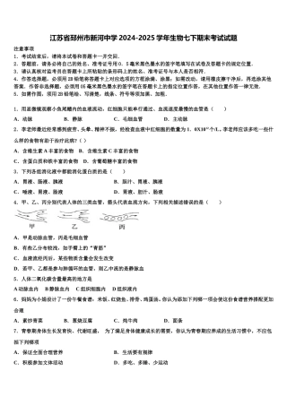 江苏省邳州市新河中学2024-2025学年生物七下期末考试试题含解析