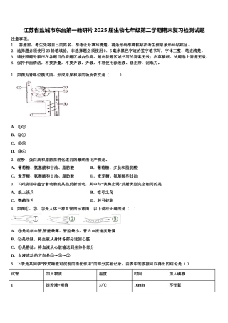 江苏省盐城市东台第一教研片2025届生物七年级第二学期期末复习检测试题含解析