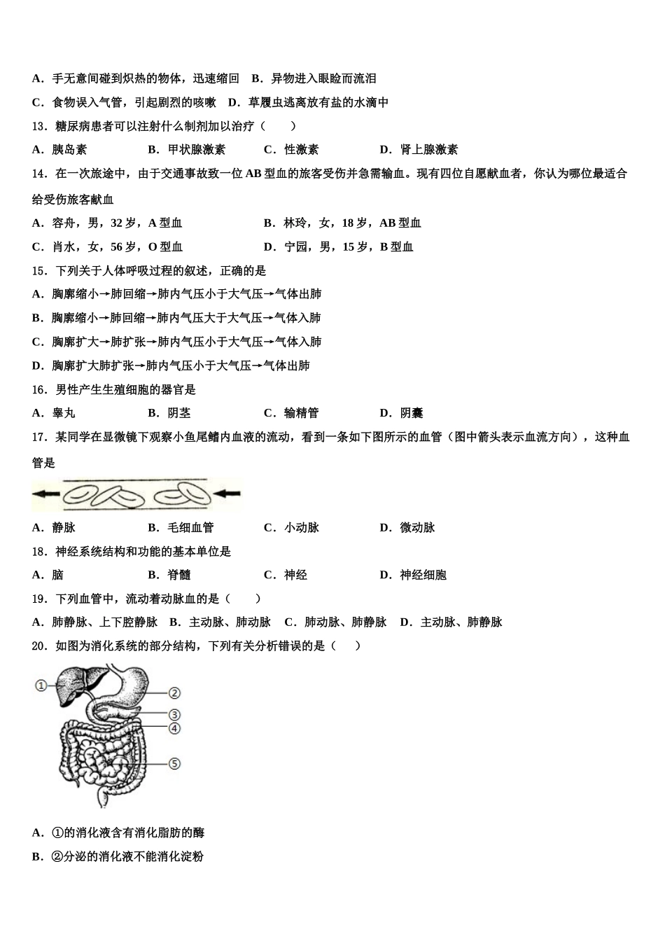 江苏省扬州市仪征市第三中学2024-2025学年七下生物期末学业质量监测模拟试题含解析_第3页