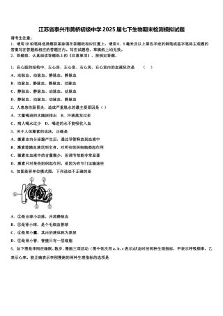 江苏省泰兴市黄桥初级中学2025届七下生物期末检测模拟试题含解析