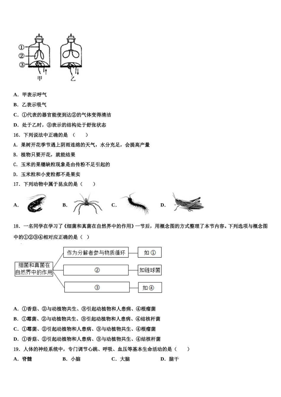 江苏省泰州市兴化市2025年七下生物期末达标检测试题含解析_第3页