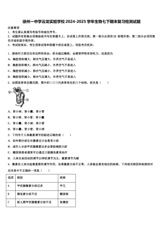 徐州一中学云龙实验学校2024-2025学年生物七下期末复习检测试题含解析