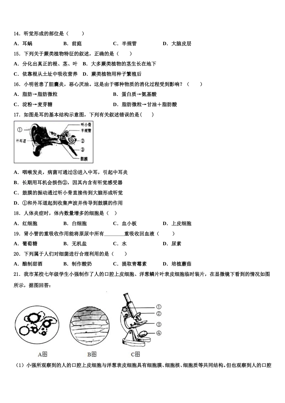2024-2025学年江苏省射阳县七年级生物第二学期期末统考试题含解析_第3页