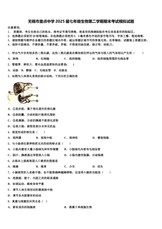 无锡市重点中学2025届七年级生物第二学期期末考试模拟试题含解析