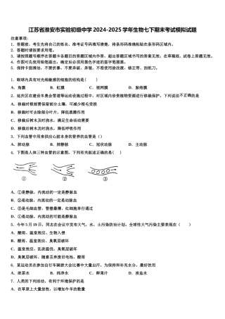 江苏省淮安市实验初级中学2024-2025学年生物七下期末考试模拟试题含解析