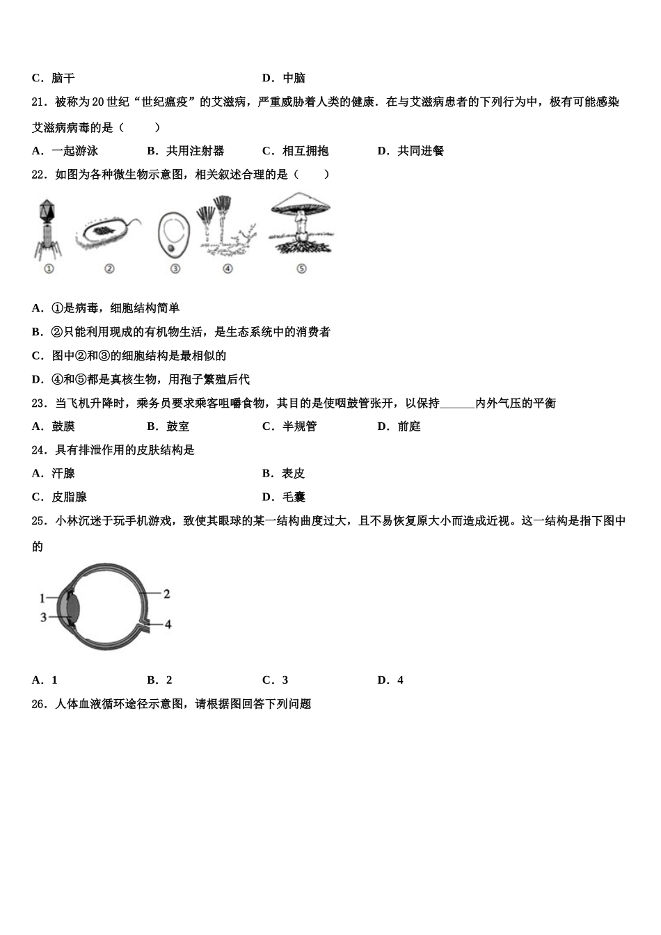 江苏省盐城中学2025年生物七下期末考试模拟试题含解析_第3页