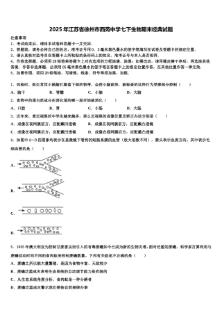 2025年江苏省徐州市西苑中学七下生物期末经典试题含解析