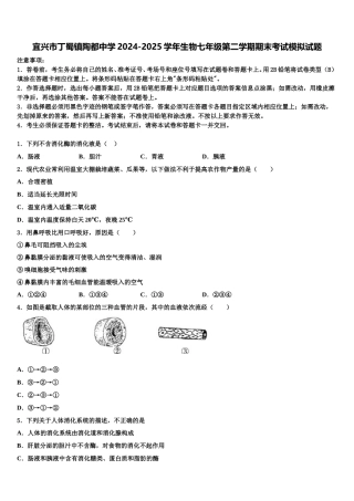 宜兴市丁蜀镇陶都中学2024-2025学年生物七年级第二学期期末考试模拟试题含解析