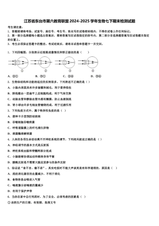江苏省东台市第六教育联盟2024-2025学年生物七下期末检测试题含解析