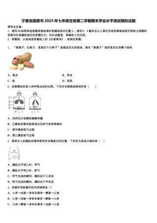 宁夏省固原市2025年七年级生物第二学期期末学业水平测试模拟试题含解析