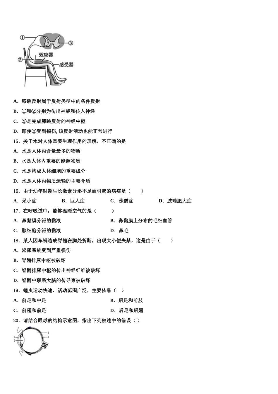 2025届固原市重点中学生物七下期末复习检测模拟试题含解析_第3页