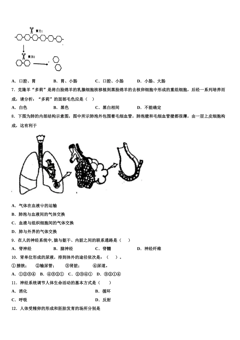 2024-2025学年贵州省贵阳市白云区生物七年级第二学期期末质量检测试题含解析_第2页