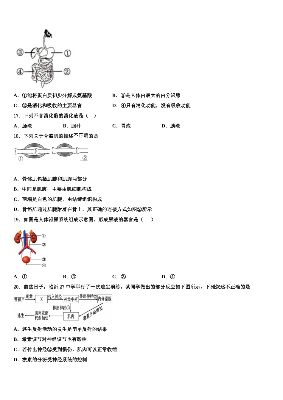 贵州省兴仁市真武山街道办事处黔龙学校2025年七年级生物第二学期期末学业质量监测模拟试题含解析_第3页