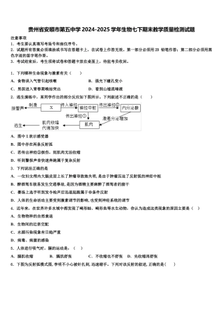 贵州省安顺市第五中学2024-2025学年生物七下期末教学质量检测试题含解析