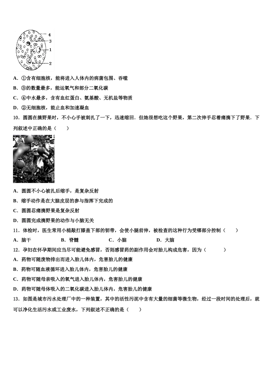 贵州省铜仁市2025年生物七年级第二学期期末学业质量监测试题含解析_第2页