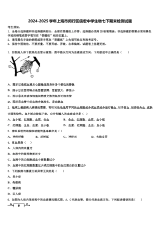 2024-2025学年上海市闵行区信宏中学生物七下期末检测试题含解析