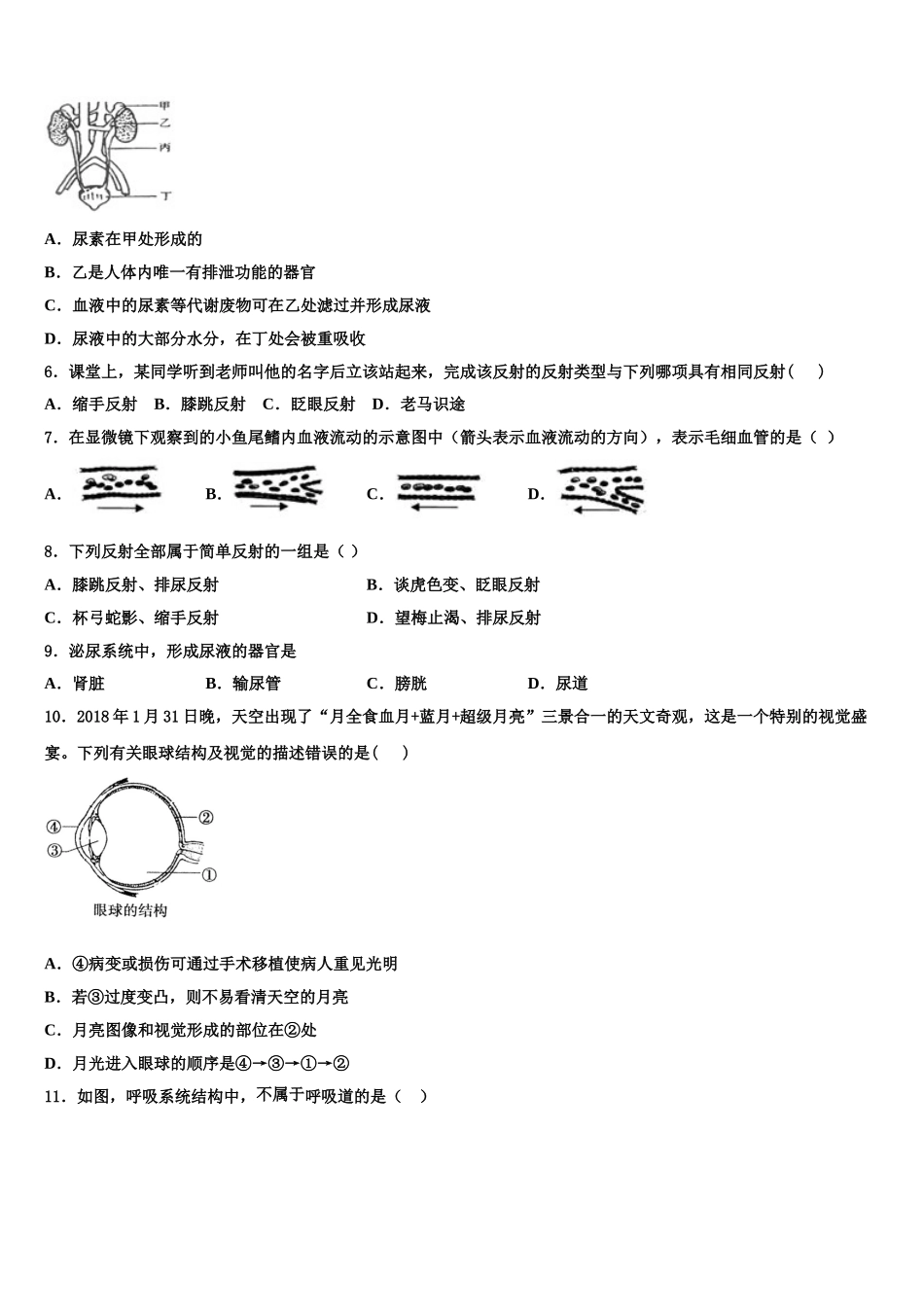 2025届上海市虹口区名校生物七年级第二学期期末达标测试试题含解析_第2页