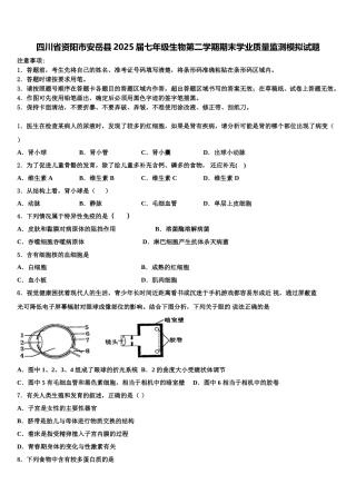 四川省资阳市安岳县2025届七年级生物第二学期期末学业质量监测模拟试题含解析