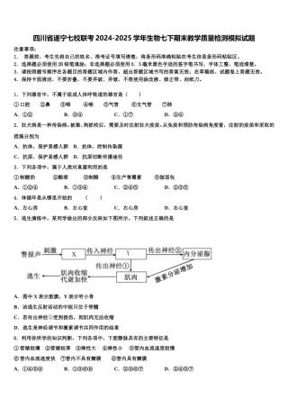 四川省遂宁七校联考2024-2025学年生物七下期末教学质量检测模拟试题含解析