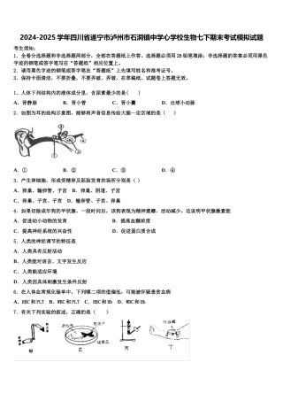2024-2025学年四川省遂宁市泸州市石洞镇中学心学校生物七下期末考试模拟试题含解析