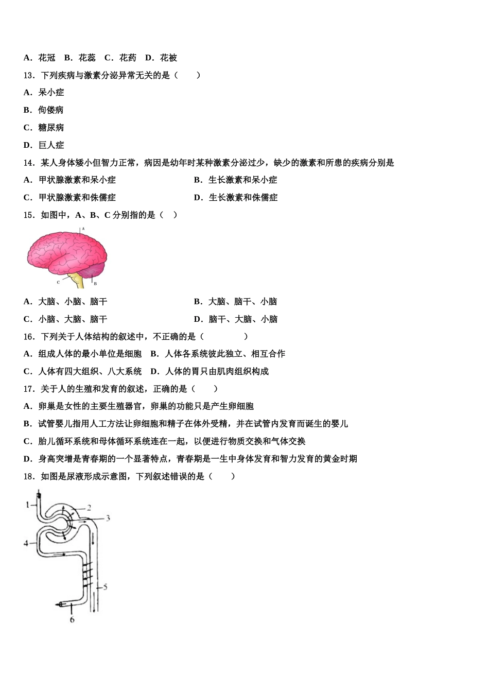 四川省绵阳市三台外国语学校2024-2025学年七下生物期末调研模拟试题含解析_第3页