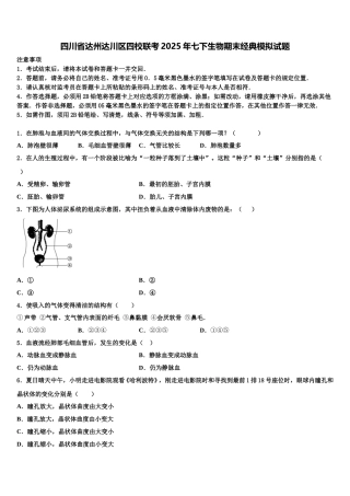 四川省达州达川区四校联考2025年七下生物期末经典模拟试题含解析