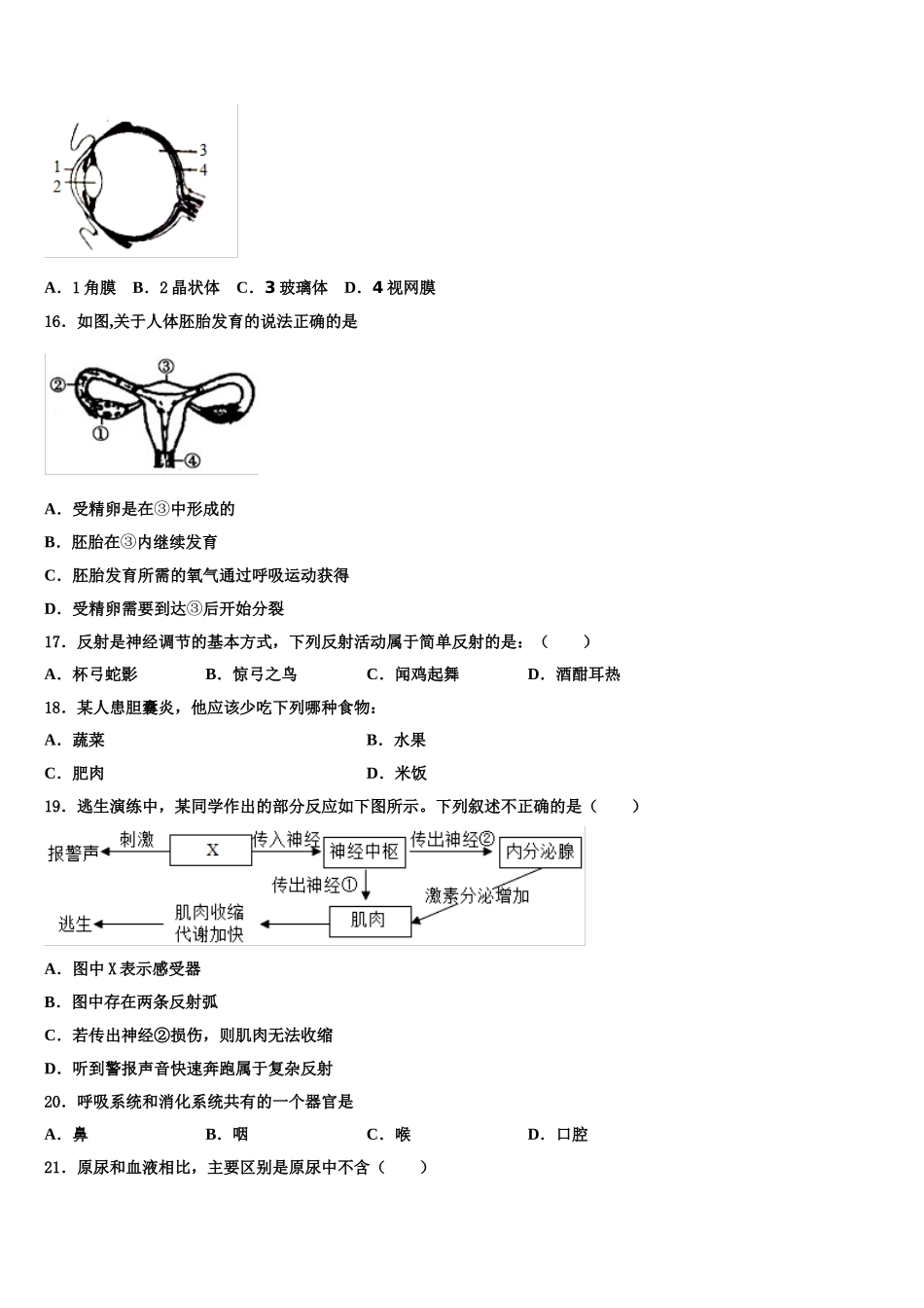 2025年四川省绵阳宜溪中学心学校七下生物期末经典模拟试题含解析_第3页