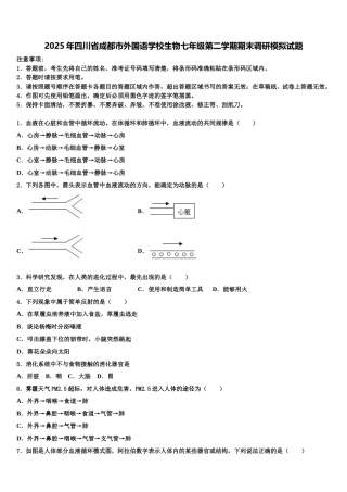 2025年四川省成都市外国语学校生物七年级第二学期期末调研模拟试题含解析