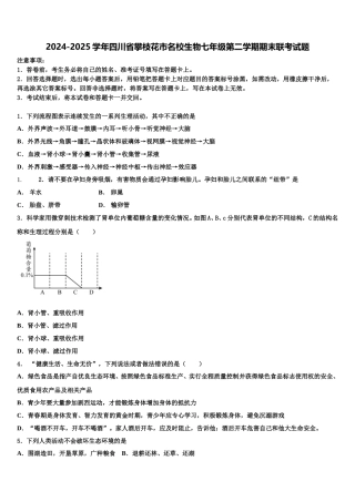 2024-2025学年四川省攀枝花市名校生物七年级第二学期期末联考试题含解析