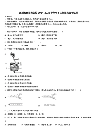 四川省自贡市名校2024-2025学年七下生物期末统考试题含解析