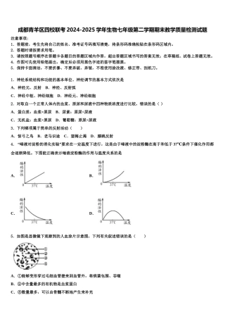 成都青羊区四校联考2024-2025学年生物七年级第二学期期末教学质量检测试题含解析