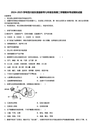 2024-2025学年四川省乐至县联考七年级生物第二学期期末考试模拟试题含解析