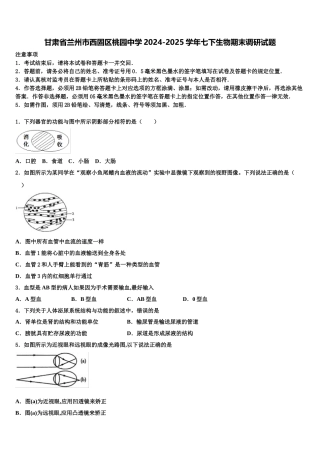甘肃省兰州市西固区桃园中学2024-2025学年七下生物期末调研试题含解析