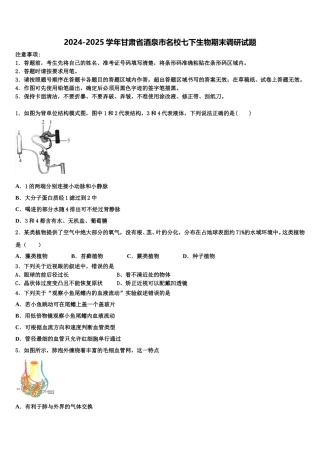 2024-2025学年甘肃省酒泉市名校七下生物期末调研试题含解析