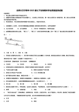 北师大万宁附中2025届七下生物期末学业质量监测试题含解析