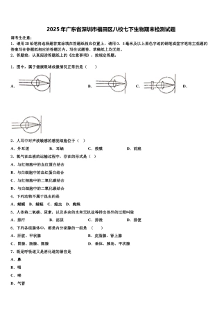2025年广东省深圳市福田区八校七下生物期末检测试题含解析