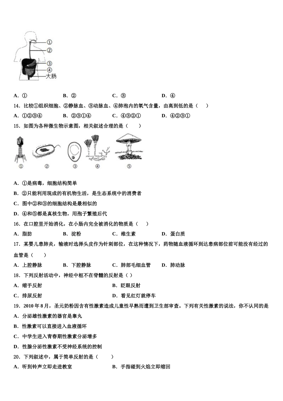 广东韶关曲江2025年七下生物期末统考模拟试题含解析_第3页