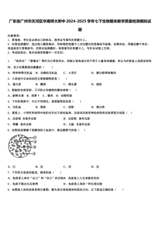 广东省广州市天河区华南师大附中2024-2025学年七下生物期末教学质量检测模拟试题含解析