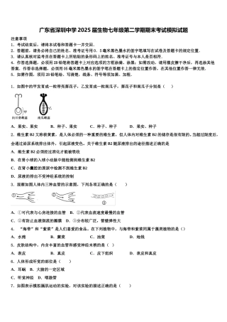 广东省深圳中学2025届生物七年级第二学期期末考试模拟试题含解析