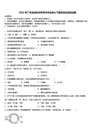 2025年广东省深圳市罗芳中学生物七下期末综合测试试题含解析