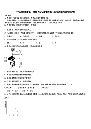 广东省惠州市第一中学2025年生物七下期末教学质量检测试题含解析