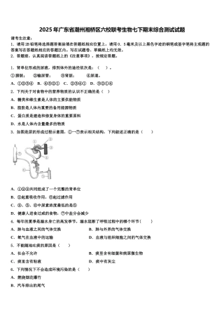 2025年广东省潮州湘桥区六校联考生物七下期末综合测试试题含解析