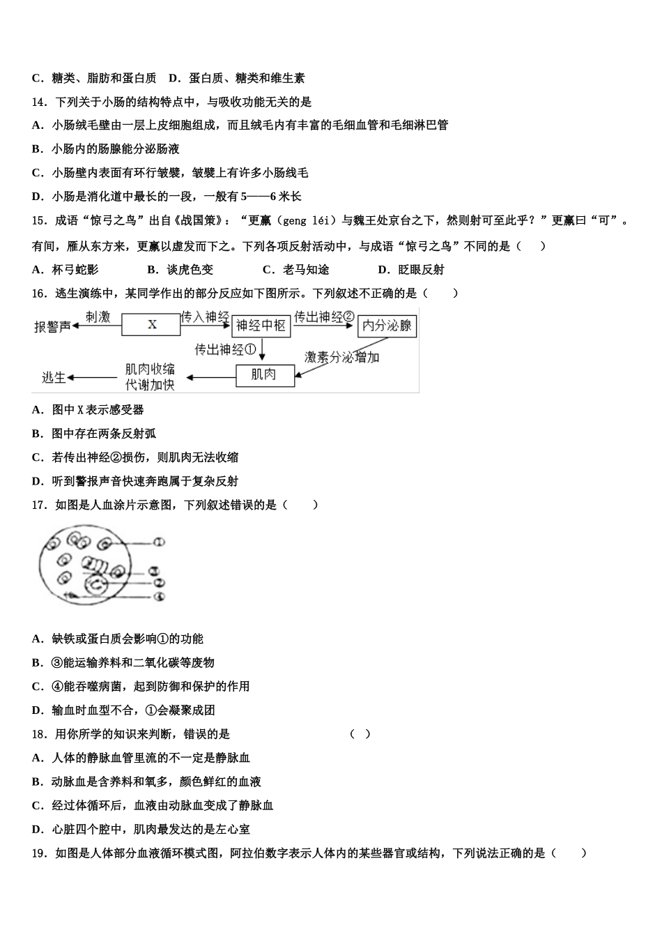 广东省揭西县2024-2025学年七下生物期末检测模拟试题含解析_第3页