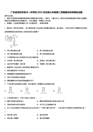 广东省深圳市育才一中学初2025年生物七年级第二学期期末统考模拟试题含解析