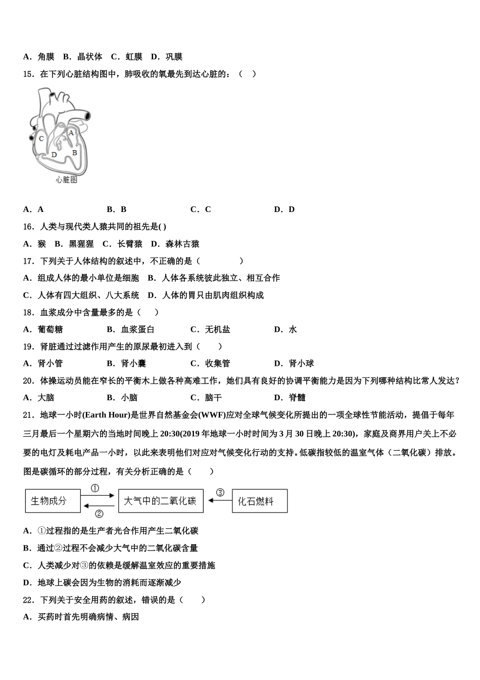 2025年深圳市重点中学七下生物期末检测试题含解析_第3页