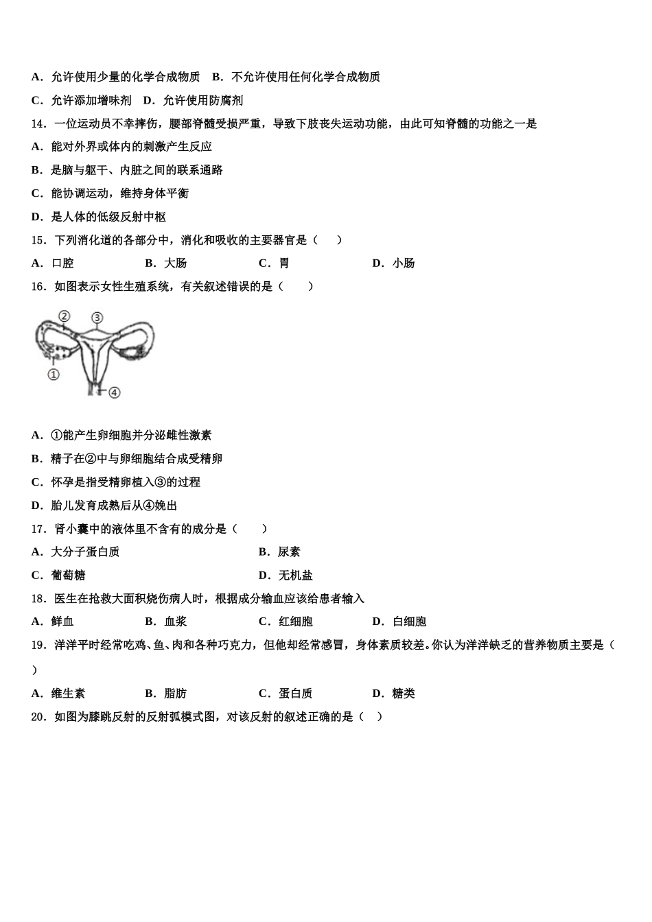 2024-2025学年广东省肇庆第四中学七年级生物第二学期期末复习检测试题含解析_第3页